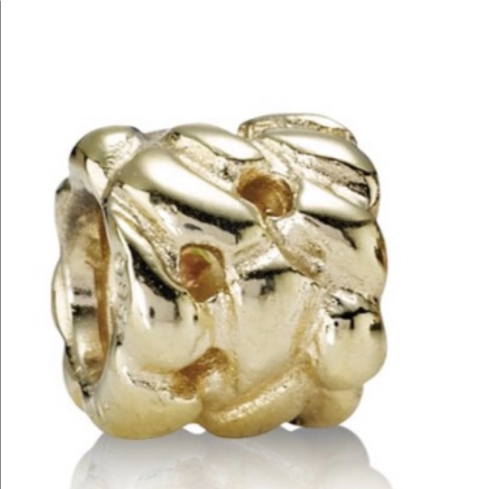 Pandora Charm